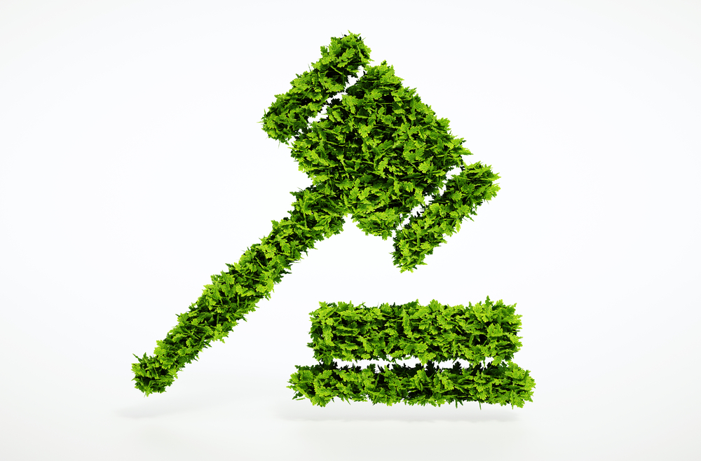 2. Webinar: Challenging non-disclosure of environmental information