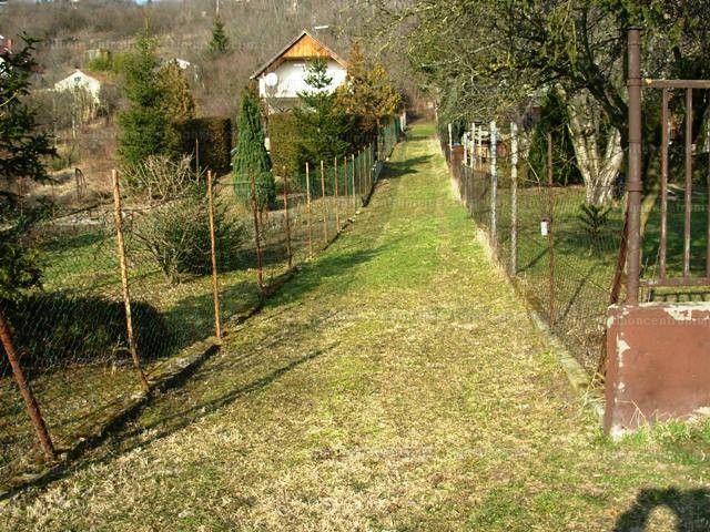 Természetvédelmi jellegű szolgalmak
